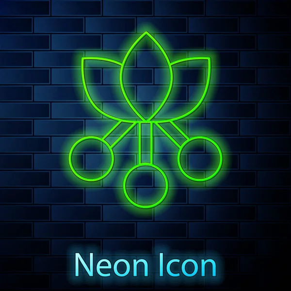 Zářící Neonová Linka Kávová Zrna Větev Listí Bobule Ikona Izolované — Stockový vektor