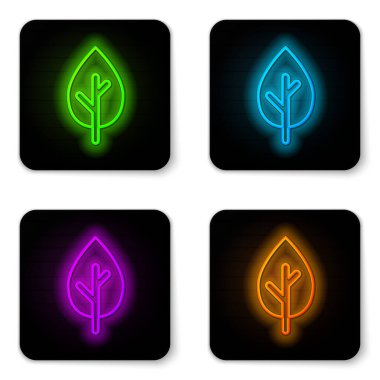 Beyaz arkaplanda parlayan neon çizgi simgesi izole edildi. Orman sembolü. Siyah kare düğme. Vektör.