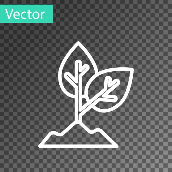 Línea Blanca Icono Planta Aislado Sobre Fondo Transparente Semillas Plántulas — Vector de stock