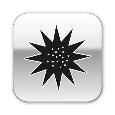 Karadeniz deniz kestanesi simgesi beyaz arkaplanda izole edilmiş. Gümüş kare düğme. Vektör..