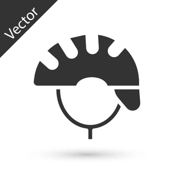 Casco Bici Gris Icono Aislado Sobre Fondo Blanco Deporte Extremo — Vector de stock