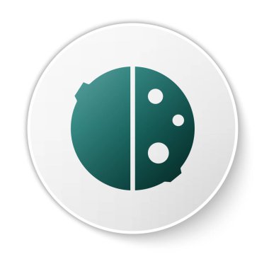 Beyaz arkaplanda izole edilmiş güneş ikonunun yeşil tutulması. Tam sonar tutulması. Beyaz daire düğmesi. Vektör İllüstrasyonu.