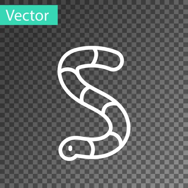 Weiße Linie Wurm Symbol Isoliert Auf Transparentem Hintergrund Angeln Vektor — Stockvektor