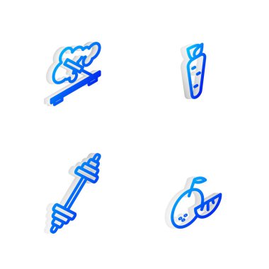 Isometric hattı havuç, kokulu spa çubuğu, Dumbbell ve Citrus meyve ikonu. Vektör