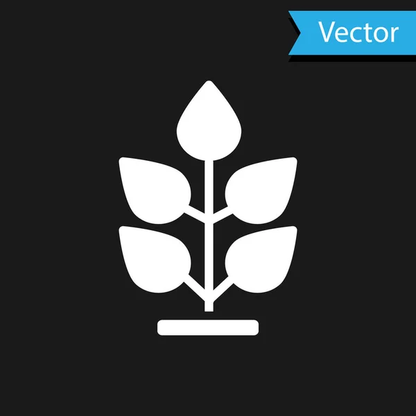 Icône Plante Blanche Isolée Sur Fond Noir Semence Semis Panneau — Image vectorielle