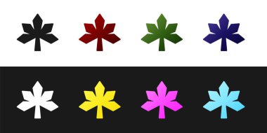 Kestane yaprağı simgesini siyah beyaz arkaplanda izole et. Vektör.