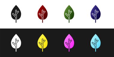 Ağaç simgesini siyah beyaz arkaplanda izole et. Orman sembolü. Vektör.