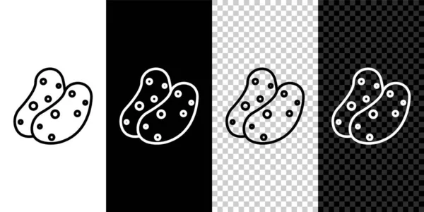 Set Line Potato Icon Isolated Black White Background Vector — Stock Vector