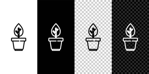 Establecer Línea Planta Maceta Icono Aislado Sobre Fondo Blanco Negro — Vector de stock