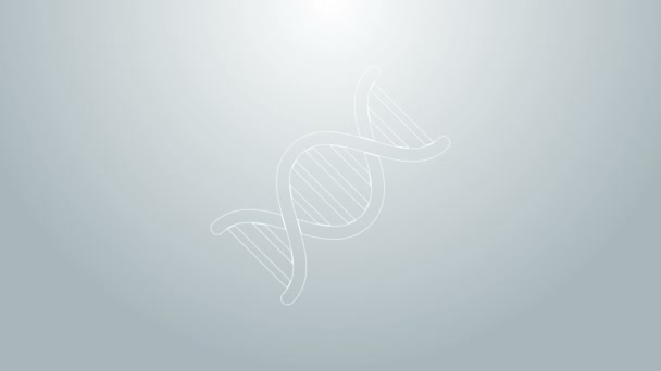 Blue line DNA symbol icon isolated on grey background. 4K Video motion graphic animation — Stock Video