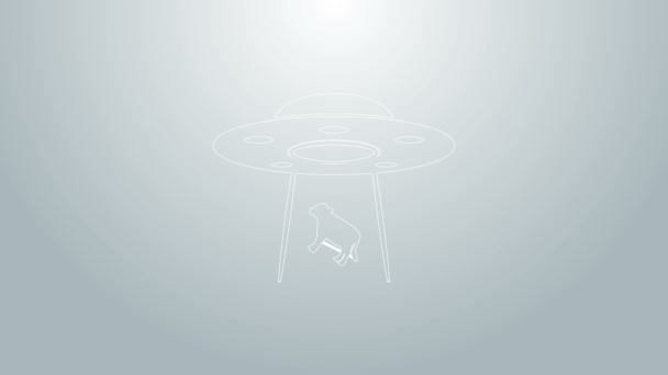 블루 라인 UFO 가 회색 배경에 고립 된 소우상을 납치 했습니다. 비행접시. 외계인 우주선. 미래적으로 알려 지지 않은 비행 물체. 4K 비디오 모션 그래픽 애니메이션 — 비디오