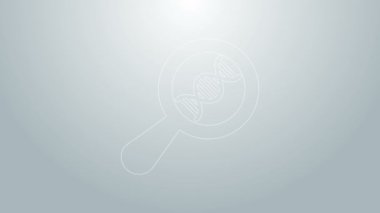 Mavi çizgi DNA araştırması, gri arkaplanda izole edilmiş bir arama simgesi. Büyüteç ve DNA zinciri. Genetik mühendisliği, klonlama, babalık testi. 4K Video hareketli grafik canlandırması