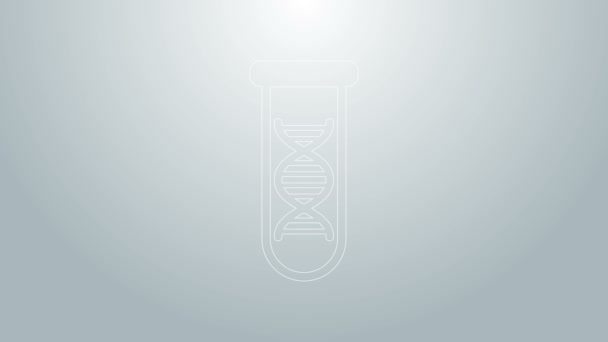 Pesquisa de DNA de linha azul, ícone de pesquisa isolado em fundo cinza. Engenharia genética, testes genéticos, clonagem, testes de paternidade. Animação gráfica em movimento de vídeo 4K — Vídeo de Stock