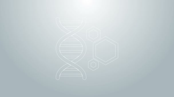 Blue line Genetic engineering icon isolated on grey background. DNA analysis, genetics testing, cloning, paternity testing. 4K Video motion graphic animation — Stock Video