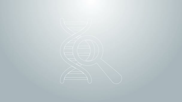 Ricerca sul DNA della linea blu, icona di ricerca isolata su sfondo grigio. Lente d'ingrandimento e catena del DNA. Ingegneria genetica, clonazione, test di paternita '. Animazione grafica 4K Video motion — Video Stock