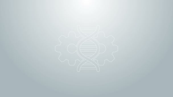 Kék vonal Gene szerkesztő ikon elszigetelt szürke háttér. Genetikai tervezés. DNS kutatás, kutatás. 4K Videó mozgás grafikus animáció — Stock videók