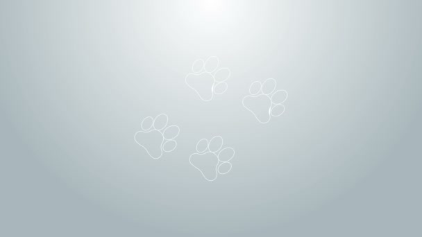 Mavi çizgi Paw yazdırma simgesi gri arkaplanda izole edildi. Köpek ya da kedi pençesi izi. Hayvan izleri. 4K Video hareketli grafik canlandırması — Stok video