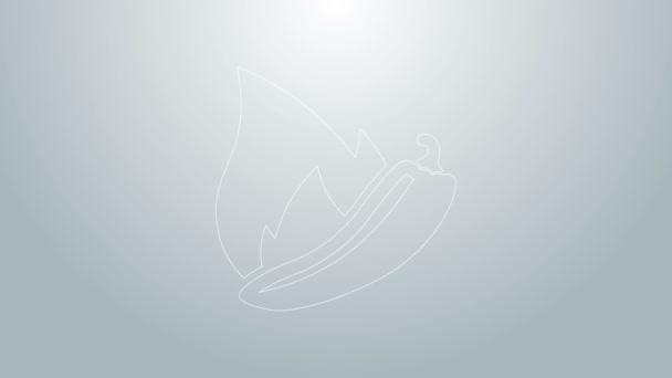 Linea blu Icona a forma di baccello di peperoncino caldo isolato su sfondo grigio. Progettazione per generi alimentari, prodotti culinari, condimento e spezie, libro di cucina. Animazione grafica 4K Video motion — Video Stock