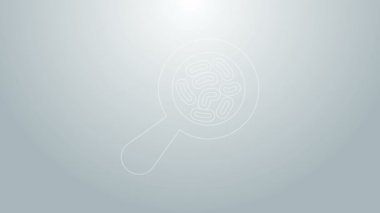 Büyüteç simgesi altındaki mavi çizgi mikroorganizmalar gri arkaplanda izole edilmiş. Bakteri ve mikroplar, hücre kanseri, mikrop, virüs, mantar. 4K Video hareketli grafik canlandırması