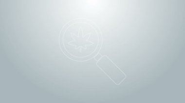 Mavi çizgi büyüteç ve tıbbi marihuana veya gri arka planda izole edilmiş kenevir yaprağı ikonu. Kenevir sembolü. 4K Video hareketli grafik canlandırması