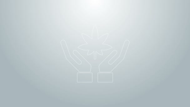Blaue Linie Medizinisches Marihuana oder Cannabisblatt-Symbol isoliert auf grauem Hintergrund. Hanf-Symbol. 4K Video Motion Grafik Animation — Stockvideo