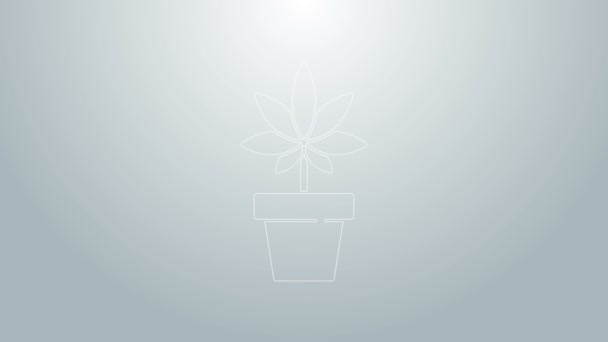 青い線灰色の背景に隔離されたポットアイコンにある医療用マリファナまたは大麻植物。マリファナ栽培の概念。ヘンプ鉢植え。4Kビデオモーショングラフィックアニメーション — ストック動画