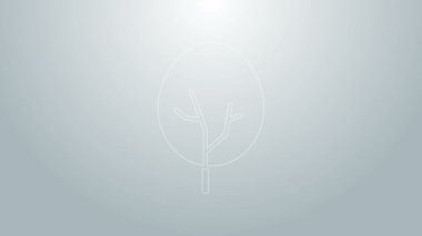 Mavi çizgi ağaç simgesi gri arkaplanda izole edildi. Orman sembolü. 4K Video hareketli grafik canlandırması