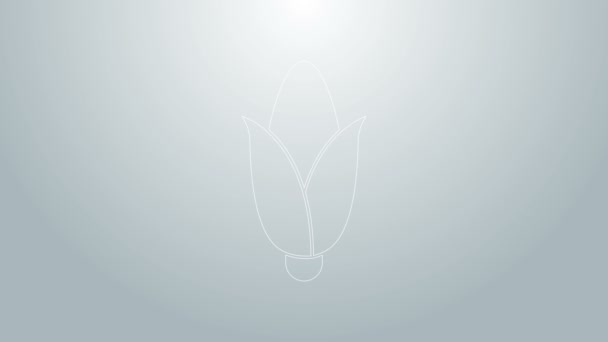 Modrá čára Kukuřice ikona izolované na šedém pozadí. Grafická animace pohybu videa 4K — Stock video