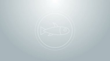 Mavi çizgi, gri arka planda izole edilmiş bir tabak ikonunda balık servis ediyordu. 4K Video hareketli grafik canlandırması