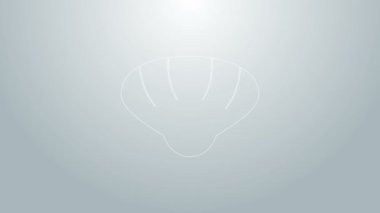 Mavi çizgi deniz kabuğu simgesi gri arkaplanda izole edildi. Deniz kabuğu işareti. 4K Video hareketli grafik canlandırması