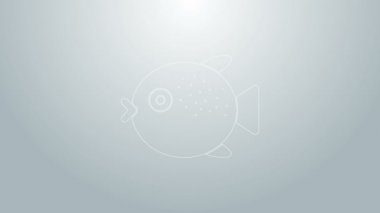 Mavi çizgi kirpi balığı simgesi gri arkaplanda izole edildi. Fugu balığı Japon kirpi balığı. 4K Video hareketli grafik canlandırması