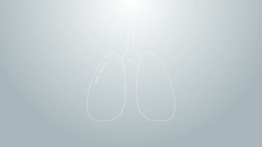 Mavi çizgi Ciğerleri simgesi gri arkaplanda izole edildi. 4K Video hareketli grafik canlandırması
