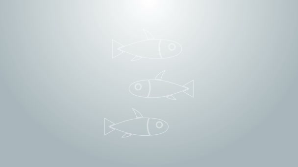 Синяя линия Значок рыбы выделен на сером фоне. Видеографическая анимация 4K — стоковое видео