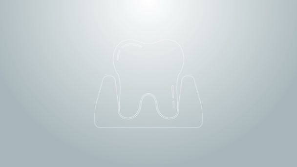 Linea blu Icona del dente isolata su sfondo grigio. Simbolo del dente per odontoiatria clinica o dentista centro medico e dentifricio pacchetto. Animazione grafica 4K Video motion — Video Stock