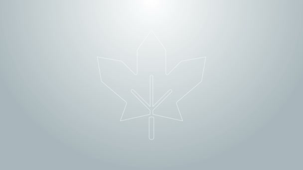 Mavi çizgi Kanada akçaağaç yaprağı ikonu gri arka planda izole edildi. Kanada sembolü akçaağaç yaprağı. 4K Video hareketli grafik canlandırması — Stok video