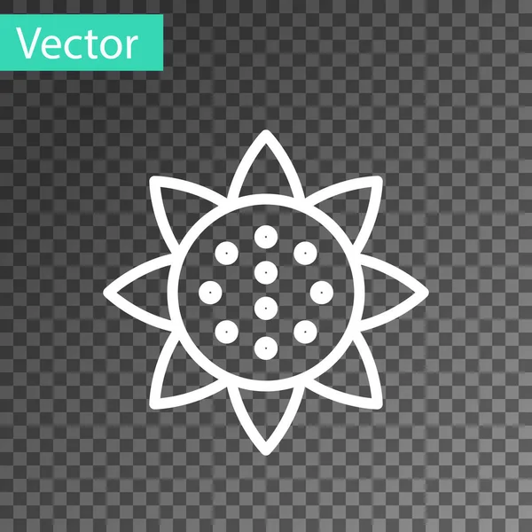 Línea Blanca Icono Girasol Aislado Sobre Fondo Transparente Vector — Vector de stock