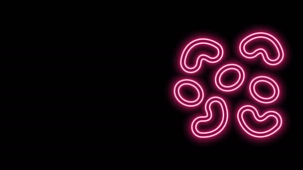 Lumineux néon ligne bonbons gelée icône isolée sur fond noir. Animation graphique de mouvement vidéo 4K — Video