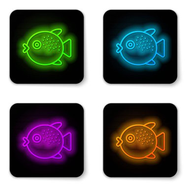 Parlayan neon hattı kirpi balığı simgesi beyaz arkaplanda izole edildi. Fugu balığı Japon kirpi balığı. Siyah kare düğme. Vektör..