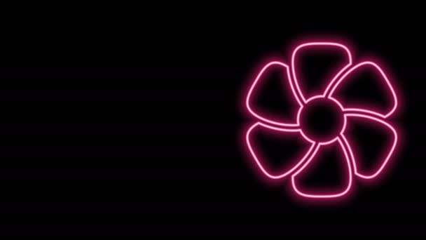 Świecąca neonowa linia Ikona kwiatów odizolowana na czarnym tle. 4K Animacja graficzna ruchu wideo — Wideo stockowe