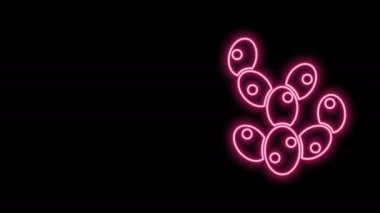 Parlayan neon hattı Kaktüs simgesi siyah arkaplanda izole edildi. 4K Video hareketli grafik canlandırması
