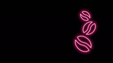 Parlayan neon hattı kahve çekirdeği ikonu siyah arka planda izole edildi. 4K Video hareketli grafik canlandırması