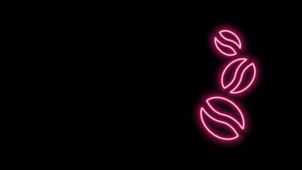 Glödande neon linje kaffebönor ikon isolerad på svart bakgrund. 4K Video motion grafisk animation — Stockvideo