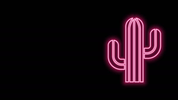 Gloeiende neon lijn Cactus pictogram geïsoleerd op zwarte achtergrond. 4K Video motion grafische animatie — Stockvideo