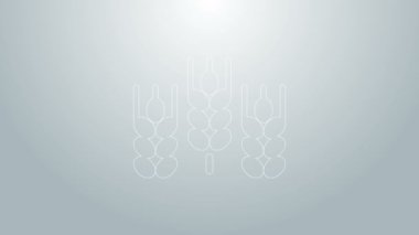 Mavi çizgili mısır gevrekleri; pirinç, buğday, mısır, yulaf, çavdar, gri arka planda izole edilmiş arpa ikonu. Buğday ekmeği sembolleri. 4K Video hareketli grafik canlandırması