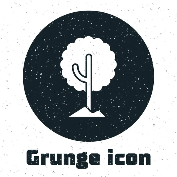 Значок Grunge Tree Выделен Белом Фоне Символ Леса Монохромный Винтажный — стоковый вектор