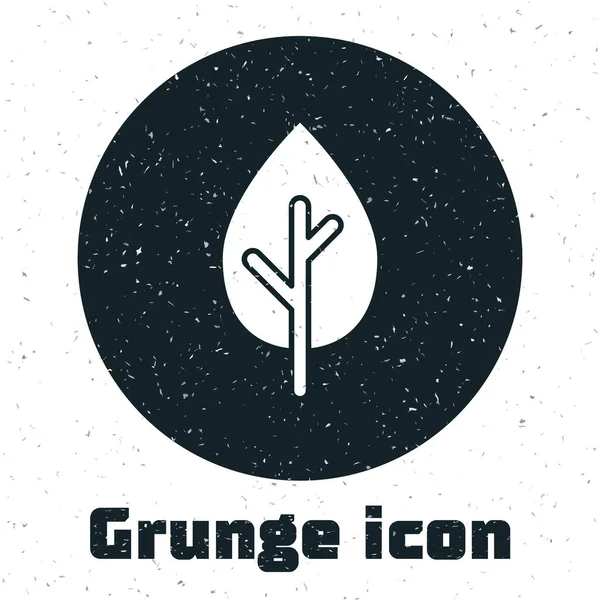 Icône Grunge Tree Isolée Sur Fond Blanc Symbole Forestier Dessin — Image vectorielle