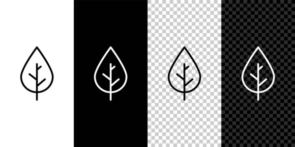 Set Line Leaf Icon Isolated Black White Background Fresh Natural — Stock Vector