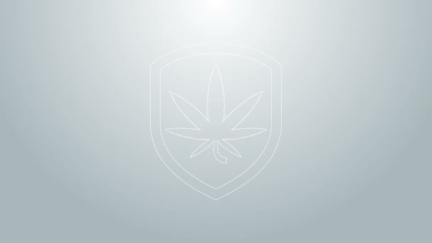 블루 라인 실드 (Blue line Shield) 와 마리화나 또는 대마초 (cannabis) 잎 아이콘은 회색 배경에서 분리 된다. 마리화나 합법화. 햄 심볼이야. 4K 비디오 모션 그래픽 애니메이션 — 비디오