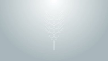 Mavi çizgili mısır gevrekleri; pirinç, buğday, mısır, yulaf, çavdar, gri arka planda izole edilmiş arpa ikonu. Buğday ekmeği sembolleri. 4K Video hareketli grafik canlandırması