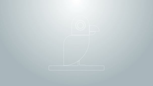 Blaue Linie Piratenpapagei-Symbol isoliert auf grauem Hintergrund. 4K Video Motion Grafik Animation — Stockvideo